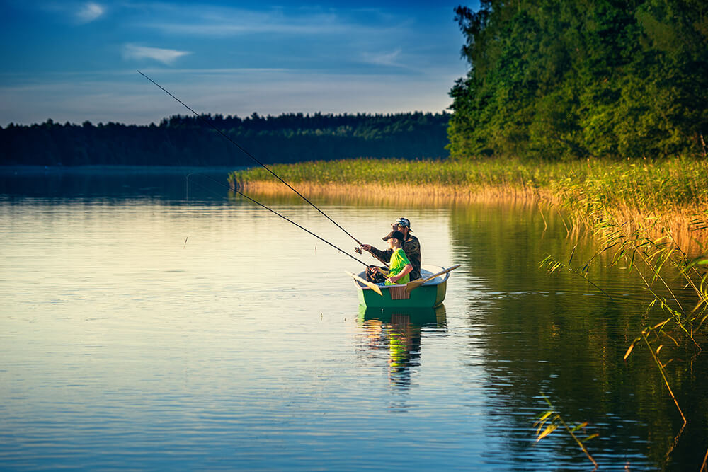 Tiger fishing